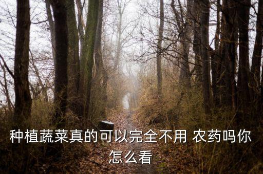種植蔬菜真的可以完全不用 農(nóng)藥嗎你怎么看