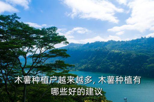 木薯種植戶越來越多, 木薯種植有哪些好的建議