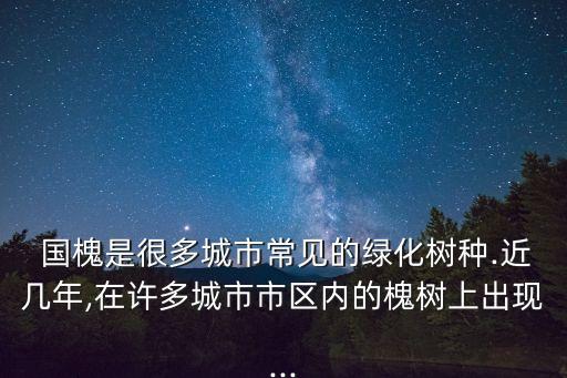  國槐是很多城市常見的綠化樹種.近幾年,在許多城市市區內的槐樹上出現...