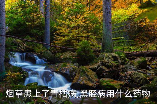 煙田怕什么農藥,根腐病最怕什么農藥