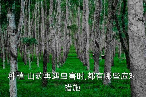 種植 山藥再遇蟲害時,都有哪些應對措施