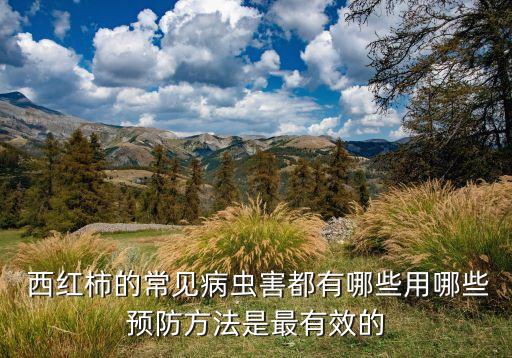 露天的西紅柿最怕什么農(nóng)藥