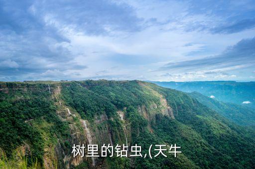 頂針蟲用什么農(nóng)藥,打茶葉蟲什么農(nóng)藥最好