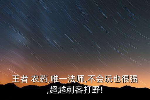 王者 農藥,唯一法師,不會玩也很強,超越刺客打野!