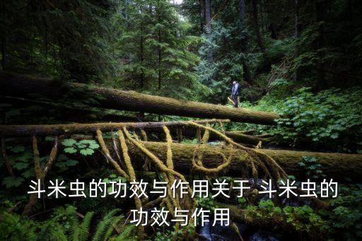 斗米蟲用什么農藥能殺死,白菜米蟲用什么農藥