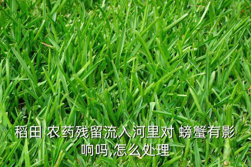 稻田 農藥殘留流入河里對 螃蟹有影響嗎,怎么處理