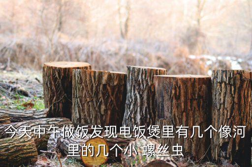 今天中午做飯發現電飯煲里有幾個像河里的幾個小 螺絲蟲