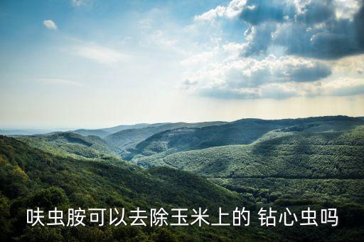 呋蟲胺可以去除玉米上的 鉆心蟲嗎