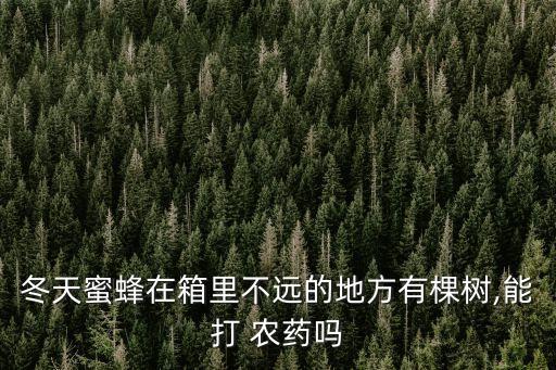 冬天蜜蜂在箱里不遠的地方有棵樹,能打 農藥嗎