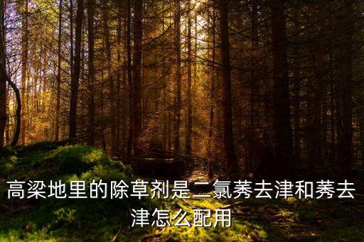 高粱都是用什么農(nóng)藥,高粱打什么農(nóng)藥效果最好