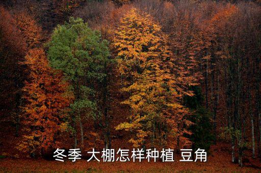 大棚長豆角用什么農(nóng)藥好,大棚里的豆角打農(nóng)藥嗎