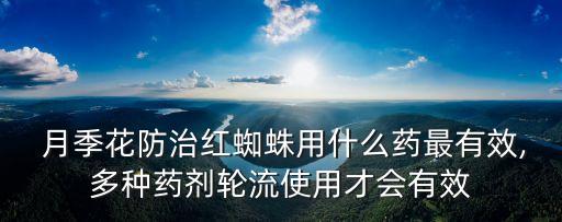 什么農(nóng)藥能殺死月季花,殺死月季花的農(nóng)藥
