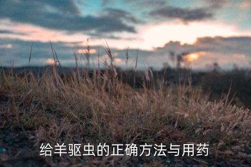 給羊驅蟲的正確方法與用藥