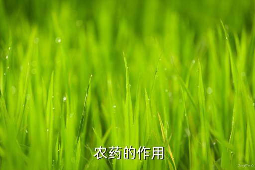 農(nóng)藥專業(yè)有什么用,農(nóng)藥學(xué)屬于什么