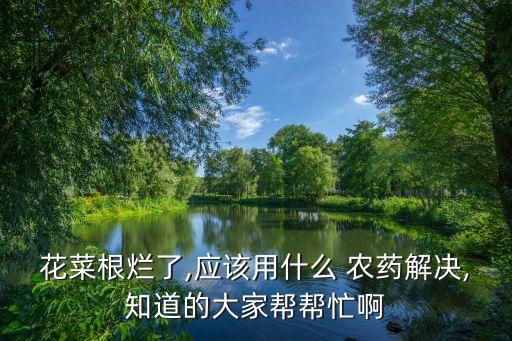 什么農(nóng)藥可治爛根,爛根用什么農(nóng)藥最好