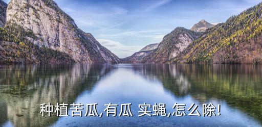 什么農藥可以消滅瓜實蠅,煙蟲用什么農藥消滅