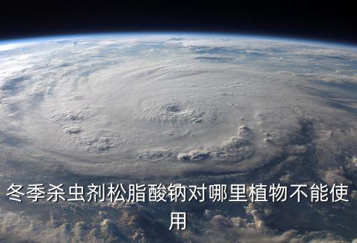 樹不能打什么農藥水,雜樹用什么農藥根除