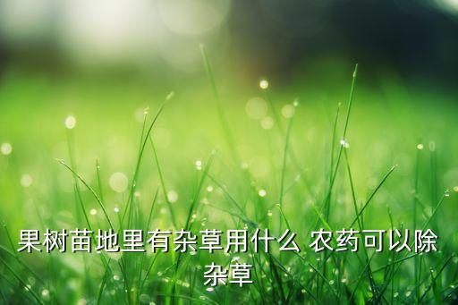 除草用的農(nóng)藥叫什么,荒山除草用什么農(nóng)藥好?