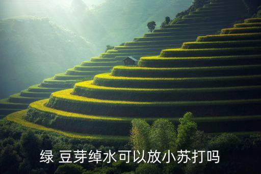 綠 豆芽綽水可以放小蘇打嗎