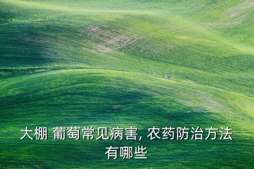 噴灑葡萄用什么農藥,噴灑農藥什么時間最好