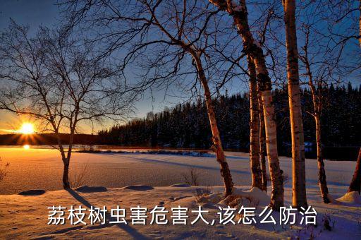  荔枝樹蟲害危害大,該怎么防治