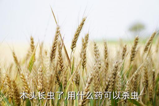 木頭長(zhǎng)蟲(chóng)了,用什么藥可以殺蟲(chóng)