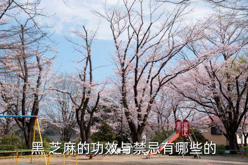 黑 芝麻的功效與禁忌有哪些的