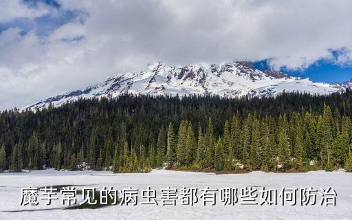 魔芋用什么農藥消毒最好種,魔芋地用什么消毒最好