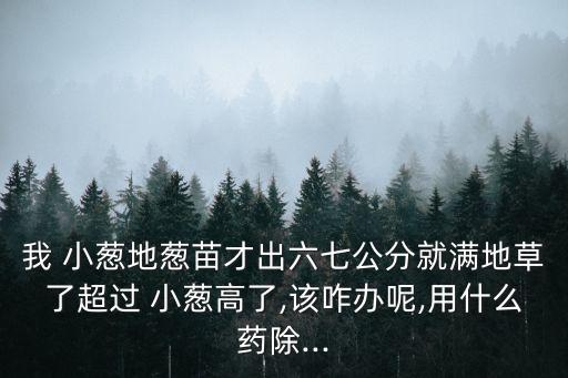 我 小蔥地蔥苗才出六七公分就滿地草了超過 小蔥高了,該咋辦呢,用什么藥除...