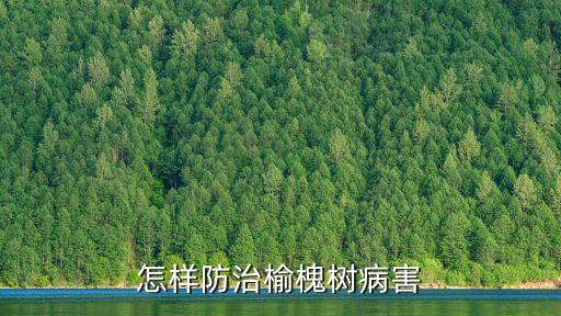 怎樣防治榆槐樹病害