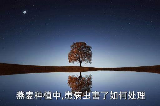 什么農藥能治燕麥,南非燕麥治什么功效