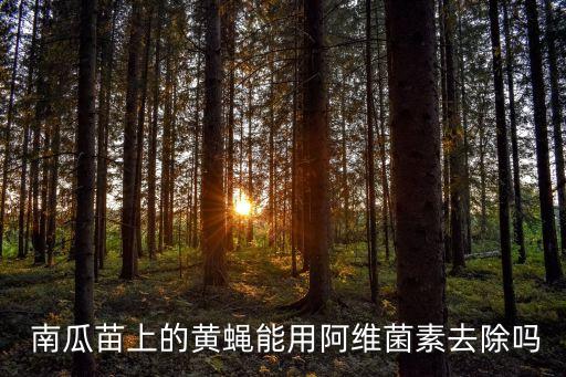 種南瓜打什么農(nóng)藥,南瓜被蜂咬用什么農(nóng)藥