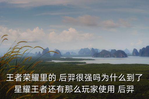 王者榮耀里的 后羿很強嗎為什么到了星耀王者還有那么玩家使用 后羿