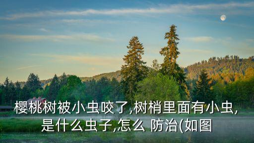 櫻桃樹被小蟲咬了,樹梢里面有小蟲,是什么蟲子,怎么 防治(如圖