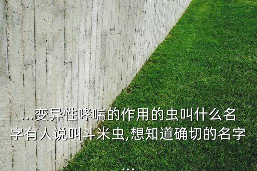 ...變異性哮喘的作用的蟲叫什么名字有人說叫斗米蟲,想知道確切的名字...