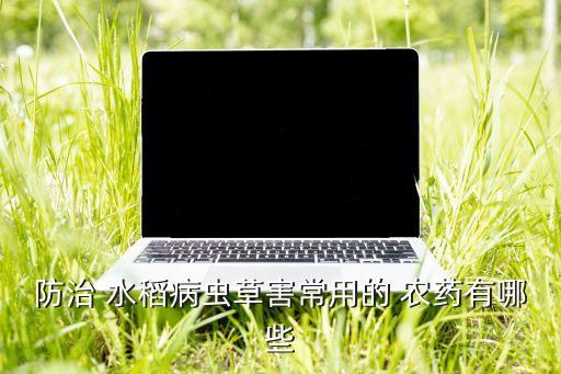 水稻喂什么農(nóng)藥最好用,水稻最后一次打什么農(nóng)藥