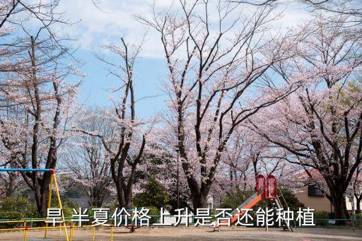 旱半夏地荒用什么農藥