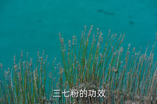 三七二一農(nóng)藥起什么作用,三七打什么農(nóng)藥