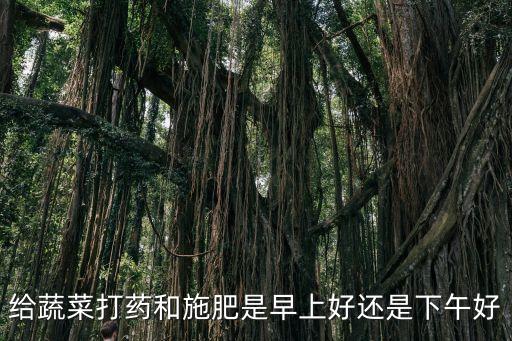 青菜什么時間噴農藥,噴了農藥的青菜多久可以吃