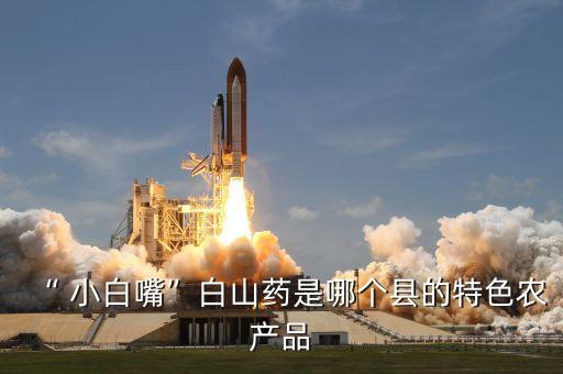 “ 小白嘴”白山藥是哪個縣的特色農產品