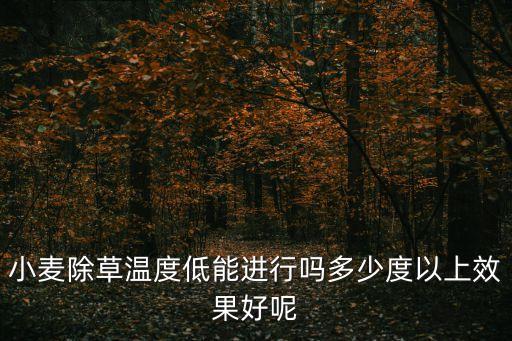 小麥除草溫度低能進行嗎多少度以上效果好呢