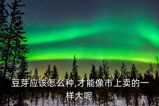 豆芽打什么農藥,豆芽有很多農藥嗎