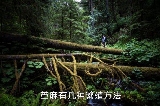 苧麻用什么農(nóng)藥打死蟲好