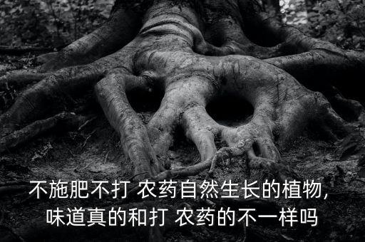 蔬菜打了農藥是什么味道,溫暖的味道蔬菜農藥事件結果