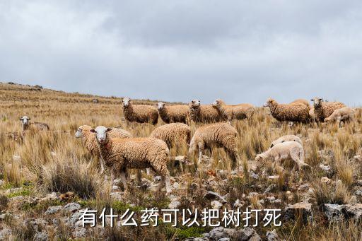 殺死樹用什么農藥好呢視頻,殺死大樹的最好最快的農藥