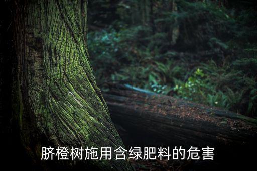 臍橙樹施用含綠肥料的危害