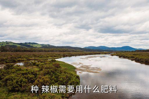 種 辣椒需要用什么肥料