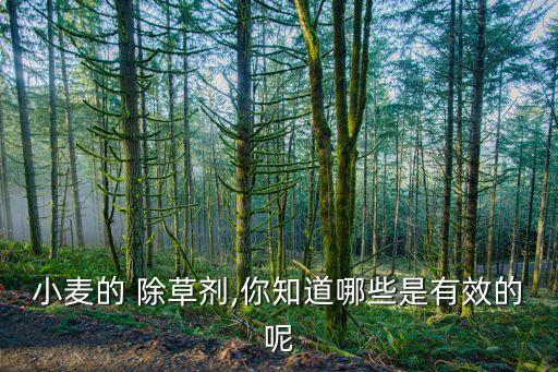 現(xiàn)在打什么除草農(nóng)藥,什么農(nóng)藥除草效果最好