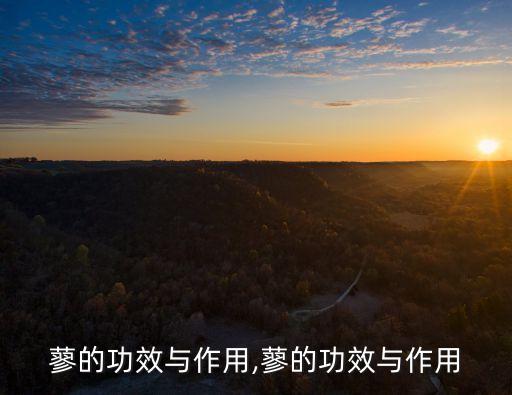 蓼用什么農藥治,3911農藥主要治什么