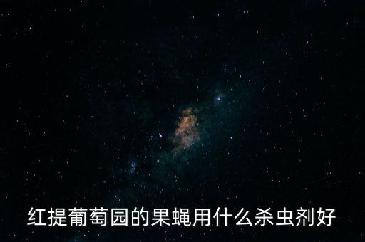 防治瓜實蠅用什么農藥,實蠅防治有什么辦法